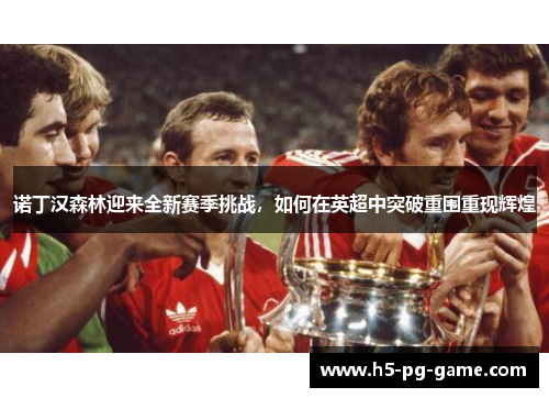诺丁汉森林迎来全新赛季挑战,如何在英超中突破重围重现辉煌 诺丁汉森林迎来全新赛季挑战,如何在英超中突破重围重现辉煌