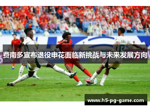 费南多宣布退役申花面临新挑战与未来发展方向