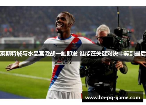 莱斯特城与水晶宫激战一触即发 谁能在关键对决中笑到最后 莱斯特城与水晶宫激战一触即发 谁能在关键对决中笑到最后