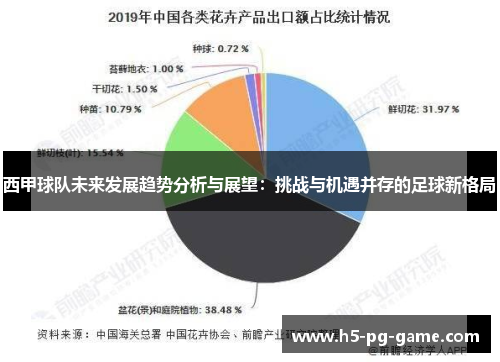 西甲球队未来发展趋势分析与展望：挑战与机遇并存的足球新格局